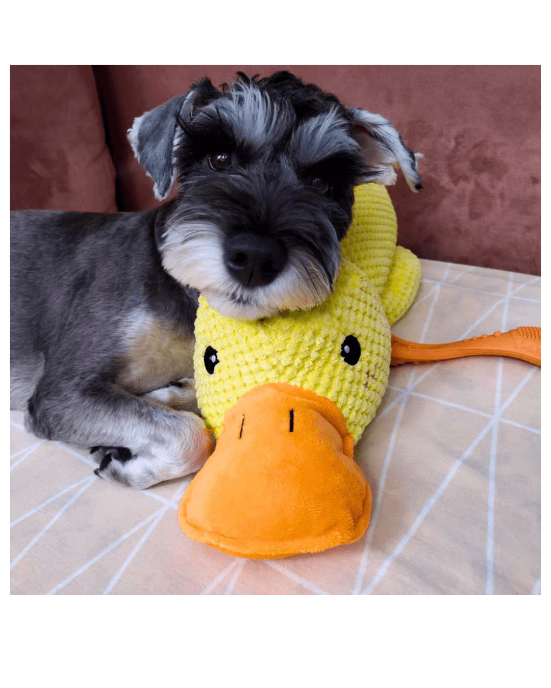 Sakinleştirici ördek oyuncak HuggyDuck