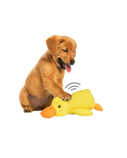 Sakinleştirici ördek oyuncak HuggyDuck