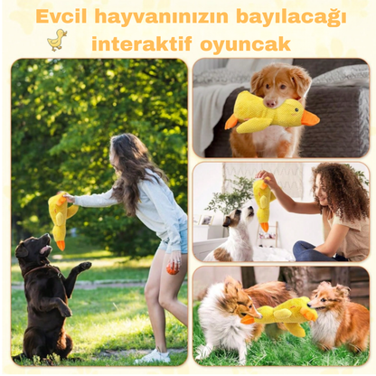 Sakinleştirici ördek oyuncak